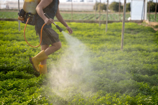 Best Affordable Pest Control Services  in Ralston, NE