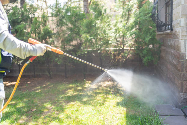 Wasp Removal Services in Ralston, NE