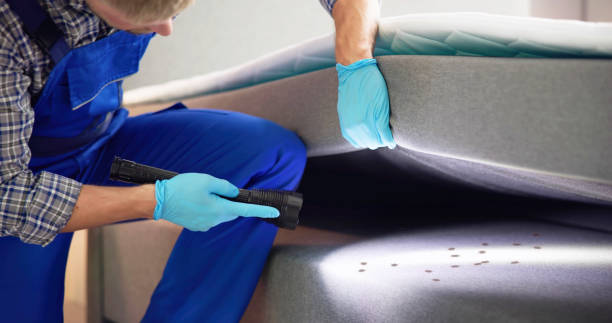 Best Mosquito Control Services  in Ralston, NE