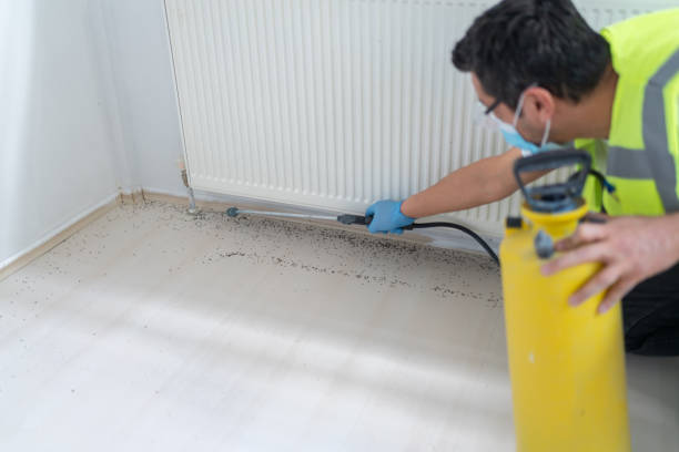 Best Pest Prevention Services  in Ralston, NE