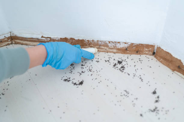 Pest Control for Restaurants in Ralston, NE