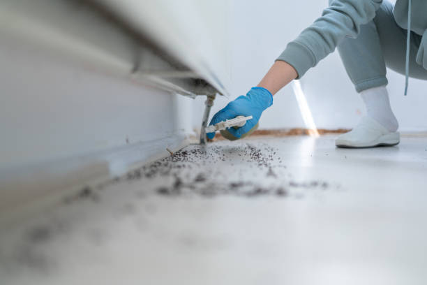 Reliable Ralston, NE Pest Control Solutions