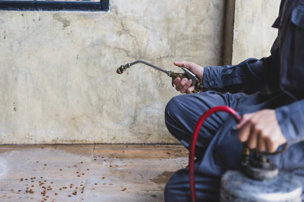 Best Pest Removal Services  in Ralston, NE